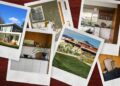 Inside the ‘Cultlike’ Quest To Find Rare Wood for Midcentury Modern Homes