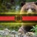 4 Reasons Bitcoin Could Drop Further Next Week
