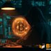 Coldcard Bitcoin Thief Likely Used Top Blockchain Services Provider