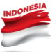 How Foreign Brands Sell in Indonesia