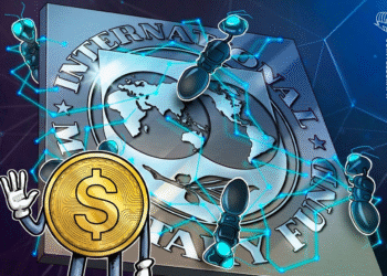 Local Stablecoins Could Become Gateways to Digital Dollars: IMF