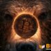 Bitcoin Bear Market May Not Yet Be Over, Says Fidelity