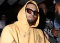 Chris Brown Gets New Trial After Housekeeper Was Mauled by his Dog