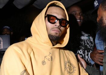 Chris Brown Gets New Trial After Housekeeper Was Mauled by his Dog
