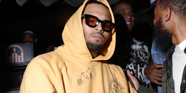 Chris Brown Gets New Trial After Housekeeper Was Mauled by his Dog