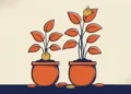 A Roth IRA and a Traditional IRA Are Taxed at Opposite Ends