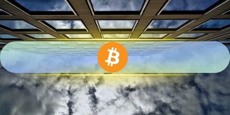 Yet None of 15 Bitwise Surveyed Investors Cut Exposure