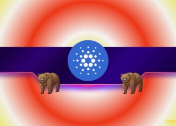 Why Is ADA’s Price Down 8% Today Even as Cardano Whales Wake Up?