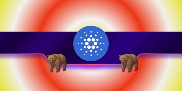 Why Is ADA’s Price Down 8% Today Even as Cardano Whales Wake Up?