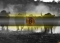 Bitcoin Analysts Are More Bullish Now Than at the Start of the 2023 Bull Market: CryptoQuant