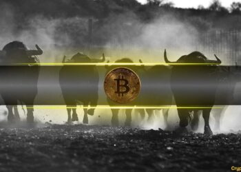 Bitcoin Analysts Are More Bullish Now Than at the Start of the 2023 Bull Market: CryptoQuant