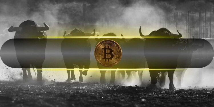 Bitcoin Analysts Are More Bullish Now Than at the Start of the 2023 Bull Market: CryptoQuant