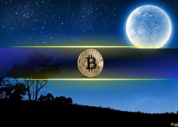 This Bitcoin Cycle Theory Puts $350K in Focus Before the Next Crash