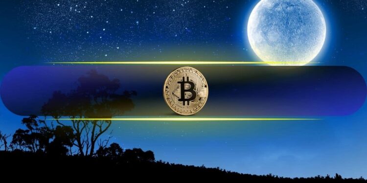 This Bitcoin Cycle Theory Puts $350K in Focus Before the Next Crash