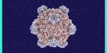 Roundtables: A Conversation With the Creator of AI-Designed Viruses