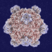 Roundtables: A Conversation With the Creator of AI-Designed Viruses