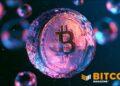 Liquid Network Announces Final Stages Of Recovery