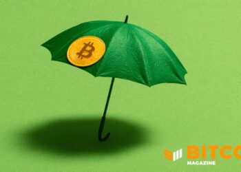 Bitcoin Life Insurer Meanwhile Raises $37.5M