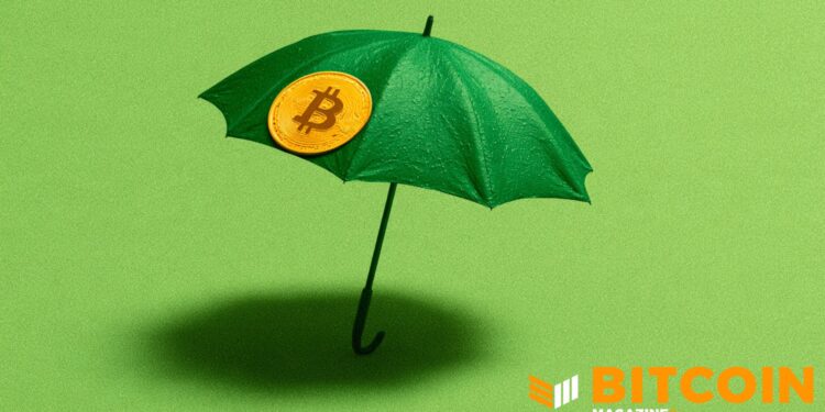 Bitcoin Life Insurer Meanwhile Raises $37.5M