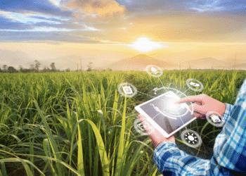 A Climate-Tech Startup Founder’s Message to Young Entrepreneurs