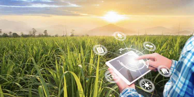 A Climate-Tech Startup Founder’s Message to Young Entrepreneurs