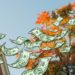 3 Ways Homebuyers Can Beat 7% Mortgage Rates and Save Thousands